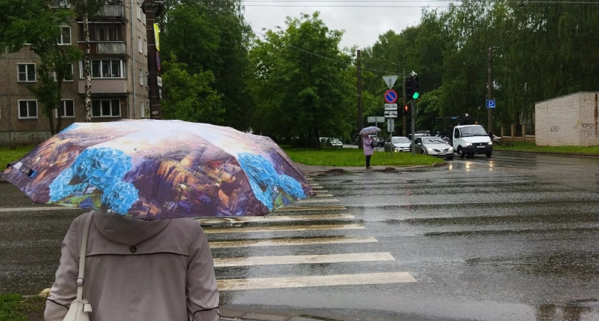 В Кировской области ожидается сильный ветер с порывами до 20 метров в секунду