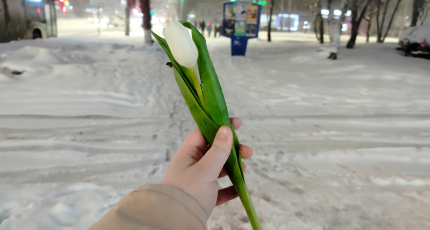 Россиян ждет самый холодный май за 140 лет: ученые обнародовали прогноз погоды на месяц