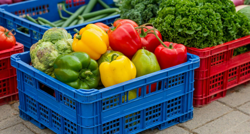 Забрал пластиковые ящики из магазина и поставил у себя на огороде: эффект был потрясающим — сбежали даже кроты