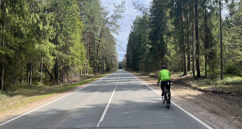 Пришли новые данные: синоптики дали прогноз погоды с 20 мая