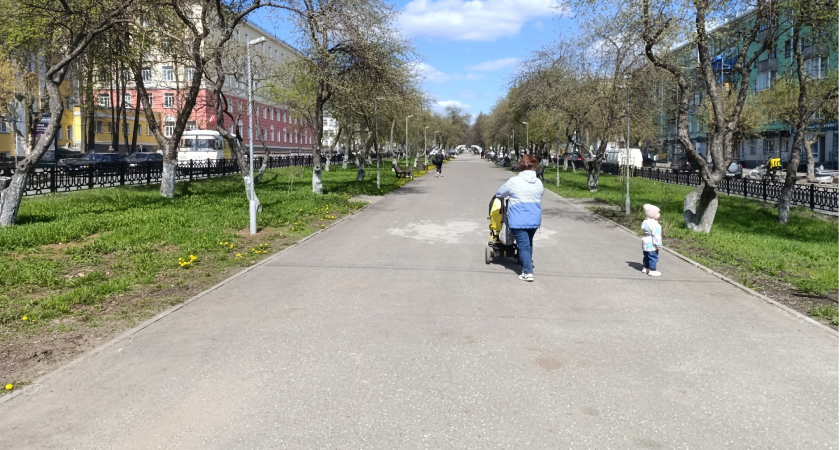 Тепло отменяется: в Кировской области ожидаются заморозки на выходных 