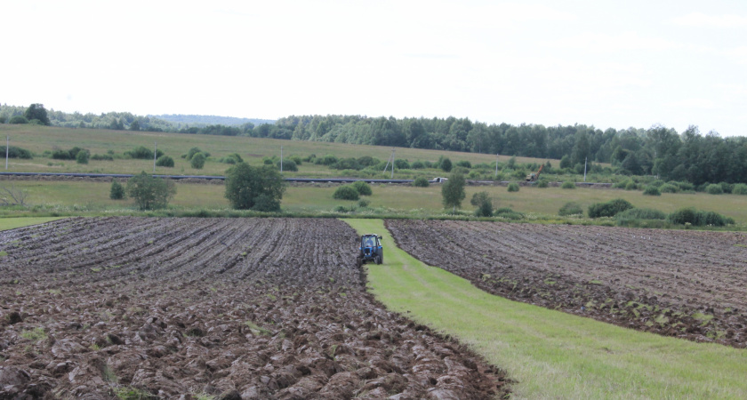 В Кировской области карантин по золотистой нематоде распространился на 574 га