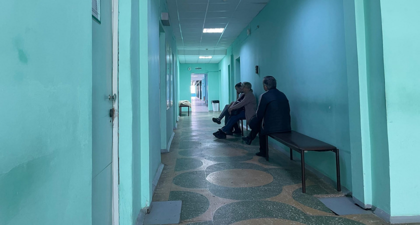 Кировская область стала вторым регионом РФ по количеству жалоб на клещей