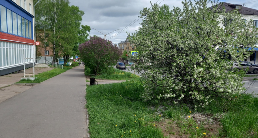 «Неделя со 2 июня подложит нам всем свинью». Синоптики резко изменили прогноз