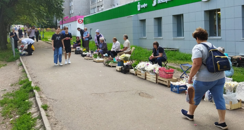 С 1 июня будет полностью бесплатно для всех пенсионеров: вводится долгожданная льгота