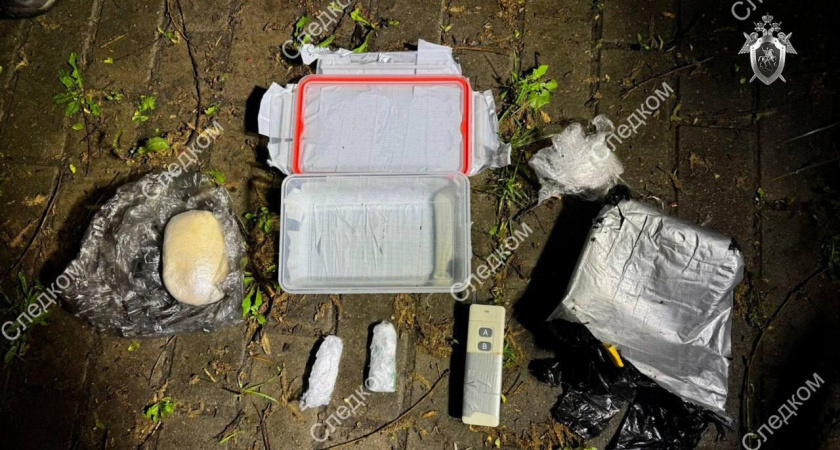 В Москве задержали кировчанина-нациста, планировавшего теракт на Красной площади