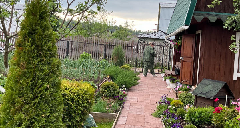 Проверенный способ очистить дорожку от травы без использования «Торнадо» и других химикатов