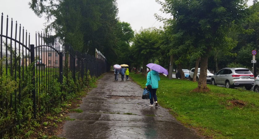 Жаркое лето отменяется? Когда придёт новая волна холода, рассказали синоптики