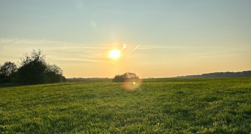 СХП "Овощевод" проводит химические обработки на полях в Кирово-Чепецком районе
