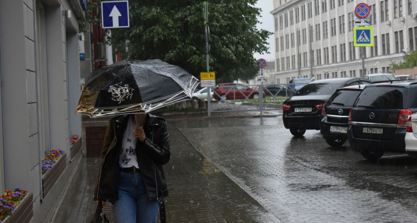 Стихийные бедствия и климатические аномалии: что ждет Россию летом-2025