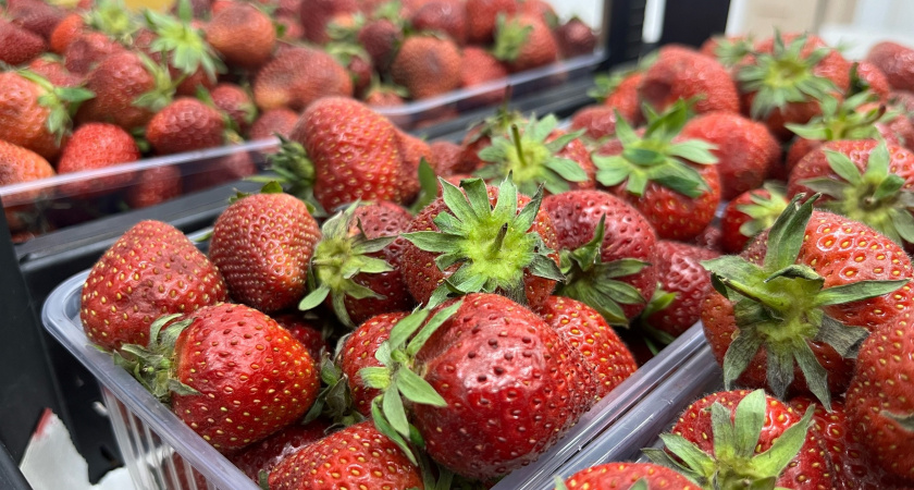 Когда клубника зацветала, советские садоводы бежали в аптеку - и вот почему я делаю так же