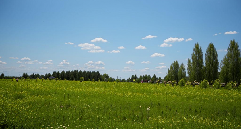 «Погодные аномалии»: синоптики рассказали о беспрецедентном июле 2025 года