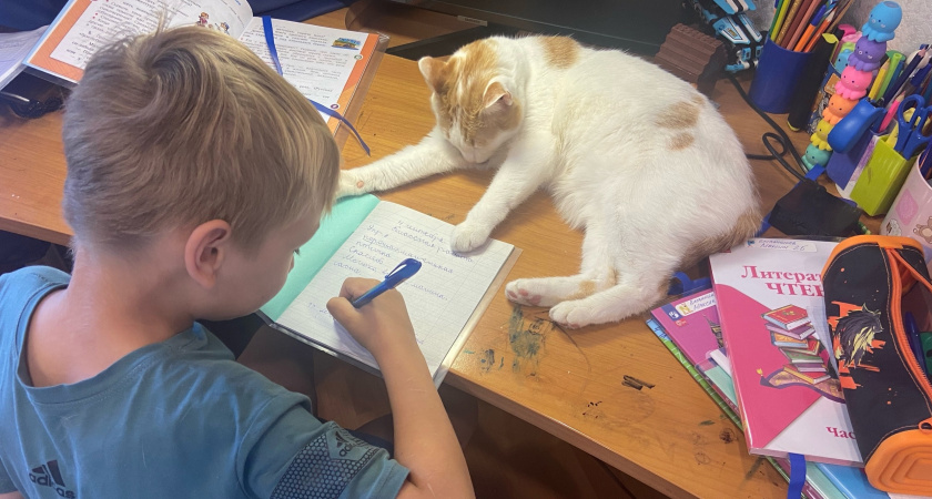 Психолог назвала опасные слова, которые нельзя говорить детям: список фраз для родителей