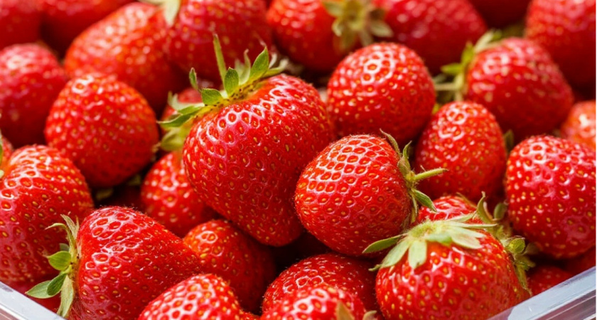 Клубника вырастет размером с яблоко: никакой химии - нужна лишь одна сладкая подкормка для корней