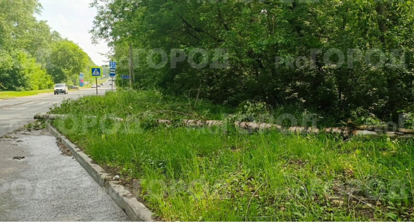 Оборванные провода, поваленные деревья и разбитые машины: какой урон нанес шторм в Кирово-Чепецком районе