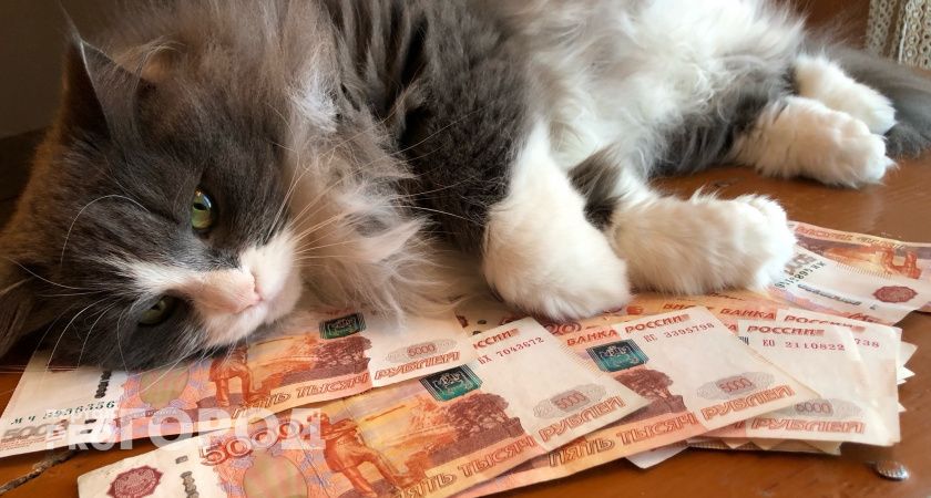 Денежный мешок упадет с небес: Меркурий озолотит только два знака зодиака с 20 июня