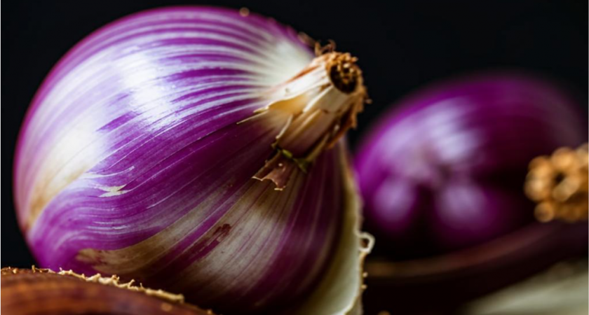 Луковица размером с кулак: июньское питание лука для богатого урожая