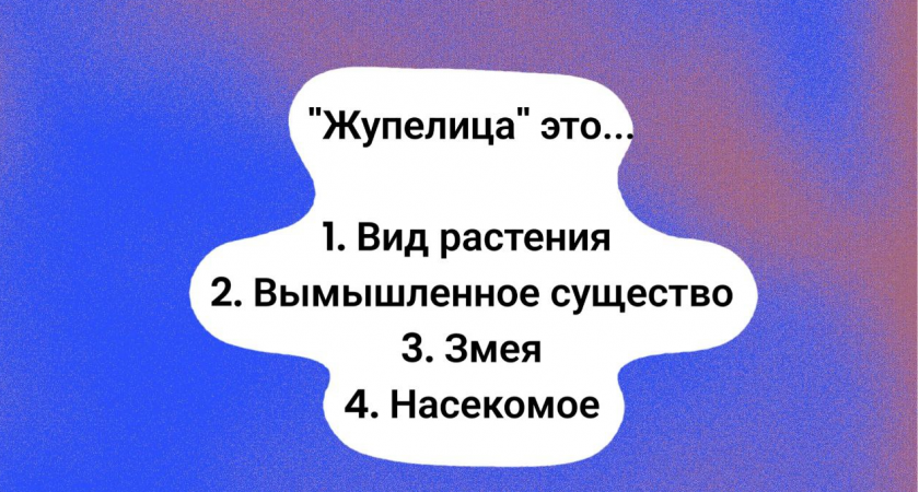Что такое "жупелица": если у вас нет точного ответа, доверьтесь "шестому чувству" — какая версия правильная?