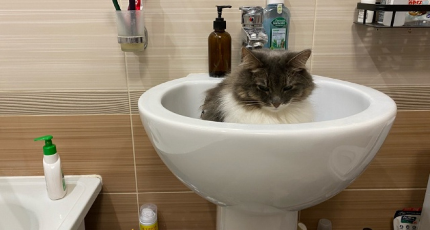 Сотни чепчан останутся без горячей воды два дня 