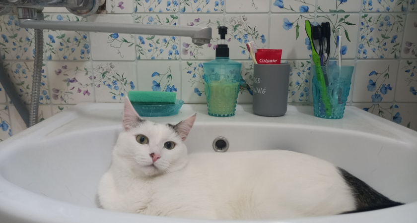 В Кирово-Чепецке в некоторых домах ограничат горячее водоснабжение