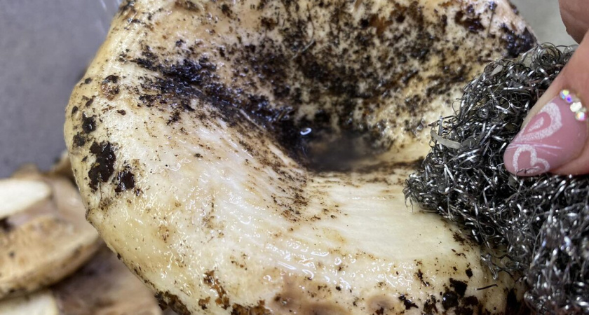 Как почистить полную корзину груздей за 15 минут без ножа: секретный способ