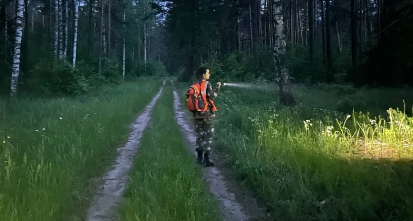 В Омутнинском районе Кировской области пропал 10-летний мальчик