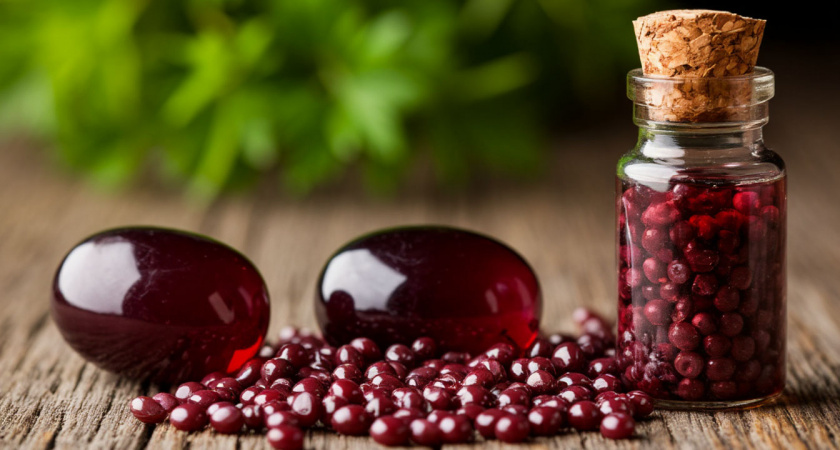 Секрет защиты растений: как йод становится грозой муравьев и тли - проверенный метод