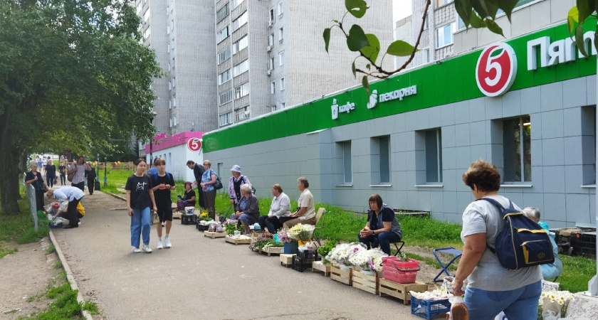 Эти товары рекомендуется избегать при покупках в "Магните" и "Пятерочке" - опубликован список нежелательных продуктов