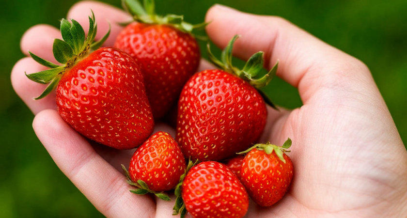 3 способа мгновенно очистить руки после прополок и сбора ягод: кожа нежная и без пятен – никакая работа не помеха красоте
