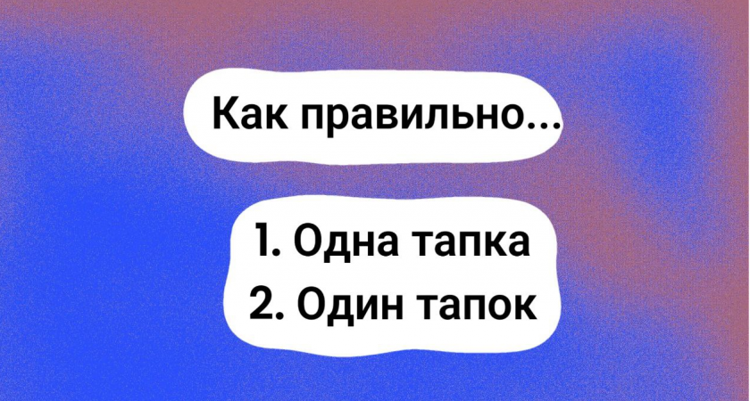 Тест отсечет безграмотных — "одна тапка" или "один тапок": какой вариант правильный в русском языке?