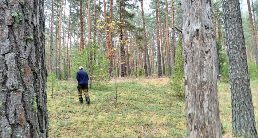 В Оричевском районе Кировской области ищут 48-летнюю женщину