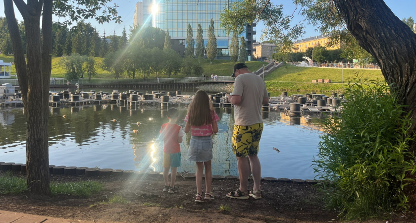 Скрытые таланты и ваши профессии, если родились 7, 16 или 25 числа любого месяца