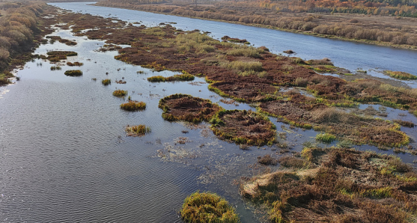 В Кировской области на реке Пижме ожидается расчистка русла и укрепление берегов