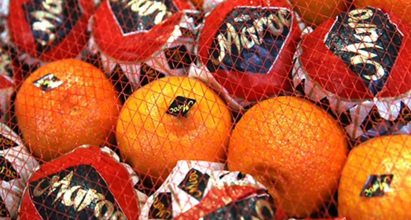 Откуда на цитрусовых появились знаменитые наклейки ромбиком