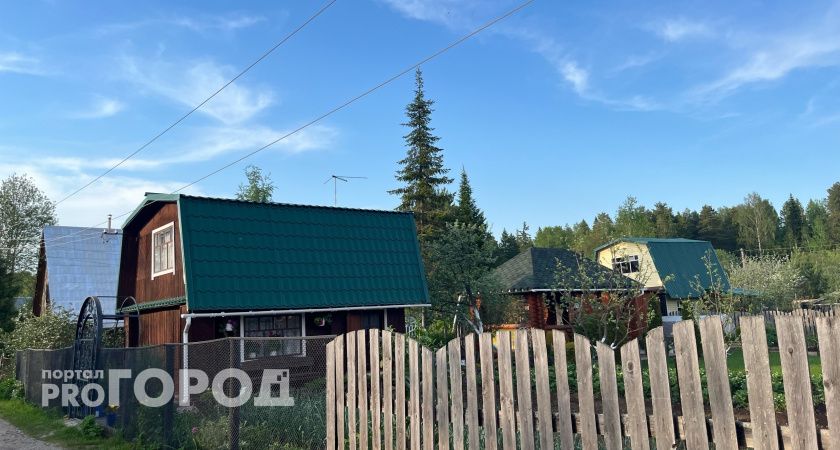 Юрист предупредила дачников: за эти нарушения грозят штрафы