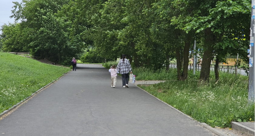 Кировские семьи с двумя детьми смогут получать новую налоговую выплату с 2026 года 