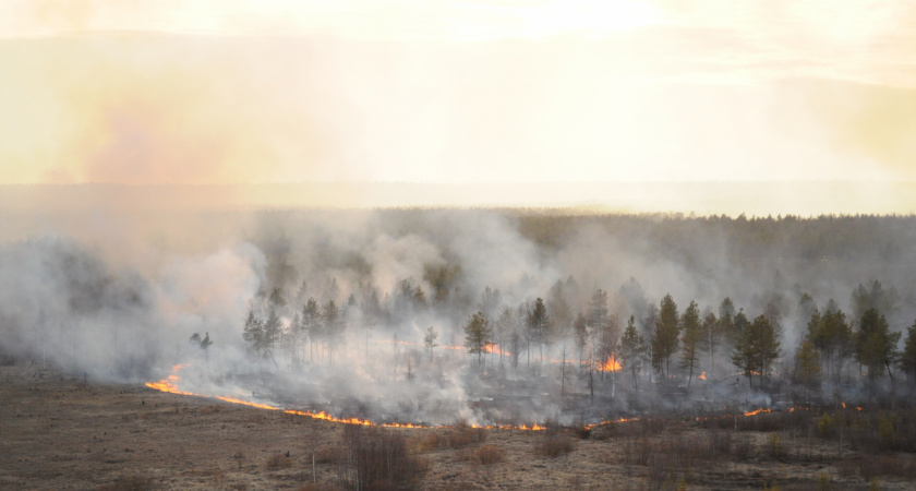 Особый режим из-за угрозы пожаров ввели в двух районах Кировской области