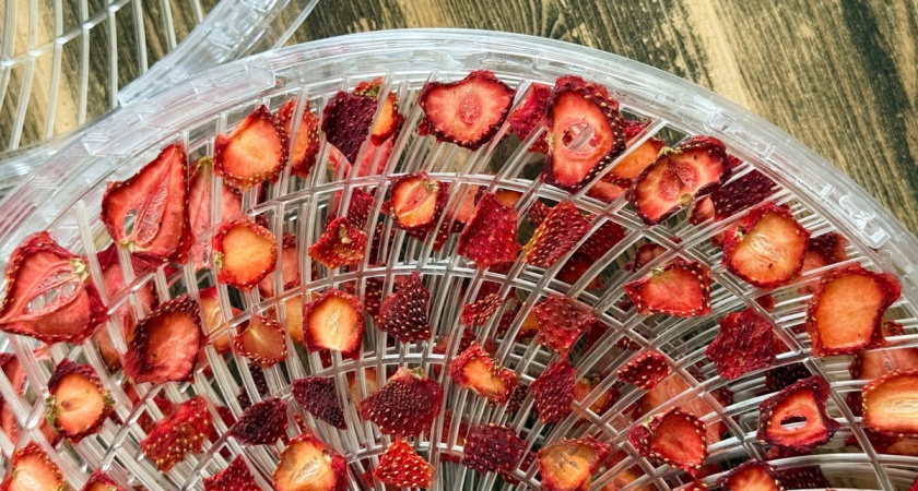 Клубника не портится 2 года: способ заготовки без сахара