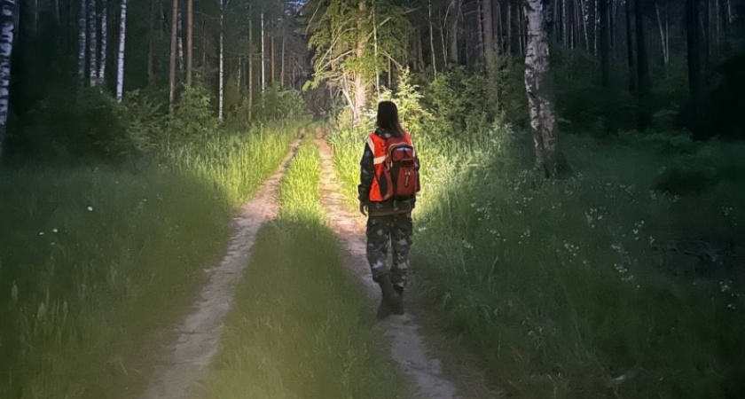 В Кировской области ищут 73-летнюю женщину, которая не вернулась из леса