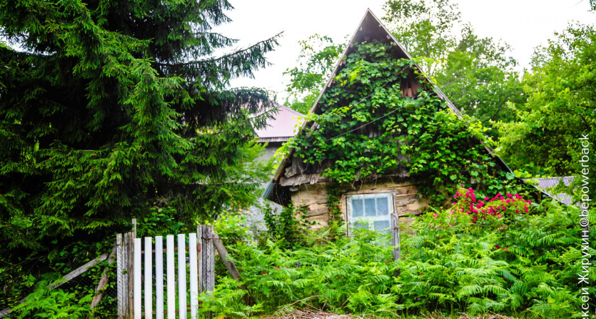 Затерянный мир Абхазии: как живут в селе Псху, куда почти не ведут дороги