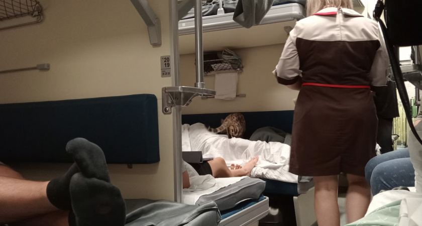 Еду из Крыма в Питер на поезде.Чем кормят в вагоне ресторане. Официант возмутился, когда пришли со своей едой