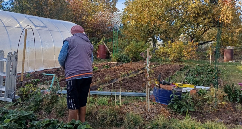 Лунный календарь садовых и огородных работ на август 2025 года