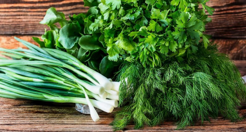 Свежая зелень в сентябре: как посеять укроп и салат в июле-августе, чтобы осенью собрать витаминный урожай