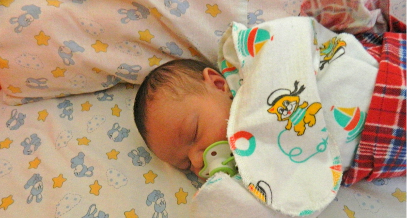 "Храбрый лев и символ материнской любви": в Богородском районе родилась королевская двойня