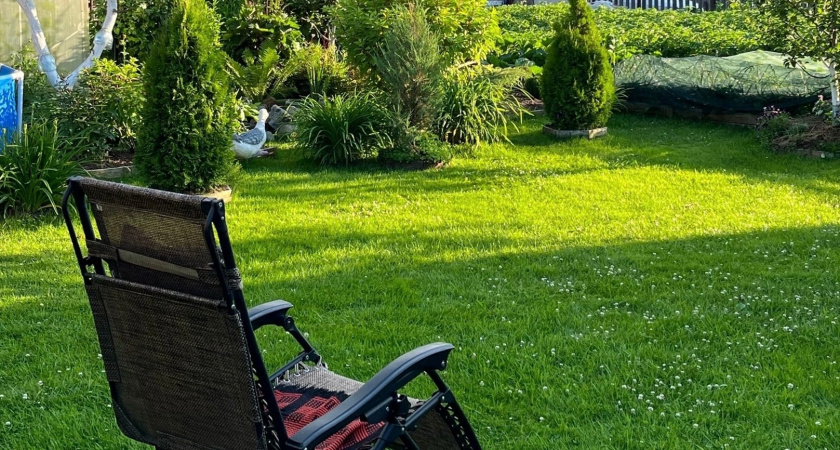 Поставил крест на этих идеях: 5 бесполезных вещей на участке, о которых мечтал, но проблем с ними больше, чем радости