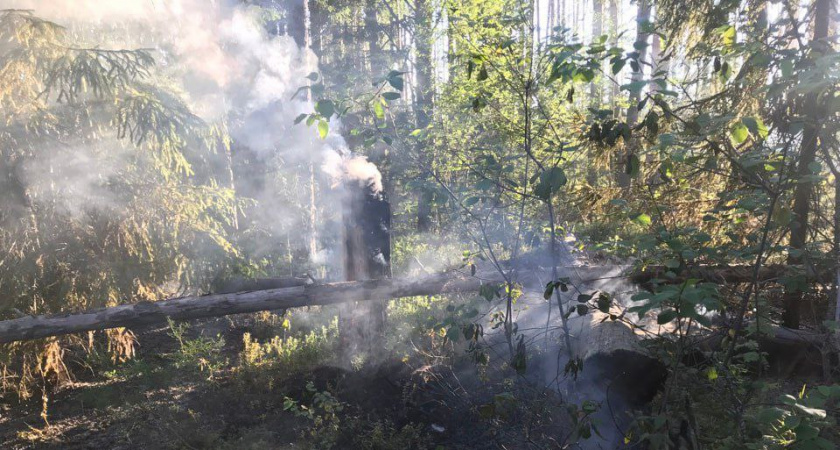 Гроза спровоцировала лесной пожар в Немском районе