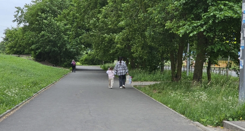 ДТП с участием машины скорой помощи, дожди и мощный пожар: что читали чепчане на неделе