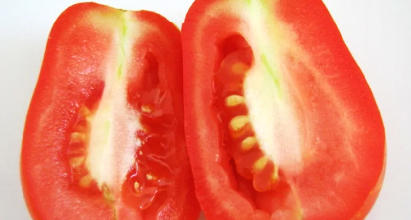 Белые прожилки портят урожай томатов — виноваты ошибки ухода