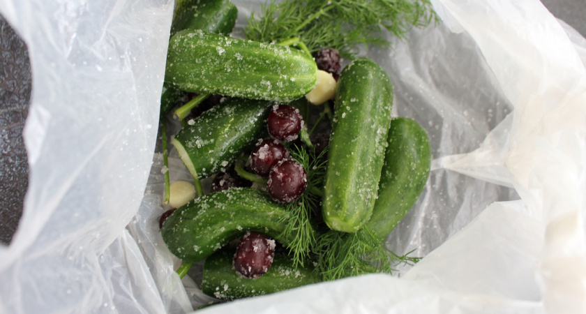 Малосольные огурцы готовлю только в пакете с вишней и чесноком