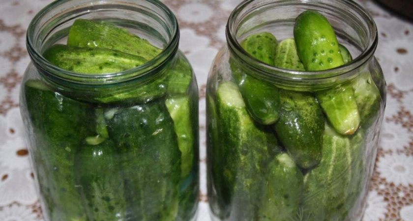 Жаль, что раньше не знал, как хранить огурцы свежими 5-6 месяцев до самого Нового Года без консервации